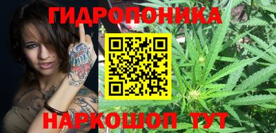 jwh Кимры