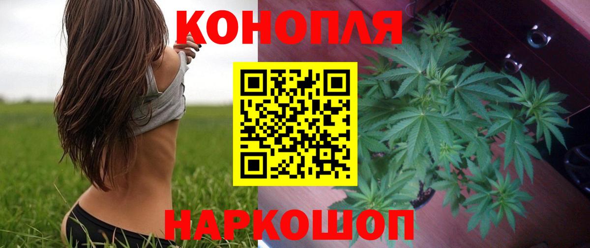 Каннабис Amnesia Электросталь